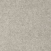 Origins Ii Residential Carpet by Shaw Floors in the color Silver Shadow. Sample of grays carpet pattern and texture.