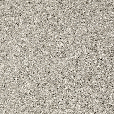 Origins Ii Residential Carpet by Shaw Floors in the color Silver Shadow. Sample of grays carpet pattern and texture.