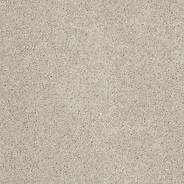 Origins Ii Residential Carpet by Shaw Floors in the color Fossil. Sample of grays carpet pattern and texture.