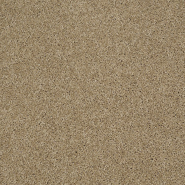 Origins Ii Residential Carpet by Shaw Floors in the color Natural Wood. Sample of browns carpet pattern and texture.