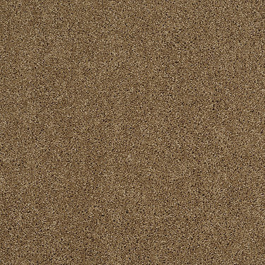 Origins Ii Residential Carpet by Shaw Floors in the color Leather Bound. Sample of browns carpet pattern and texture.