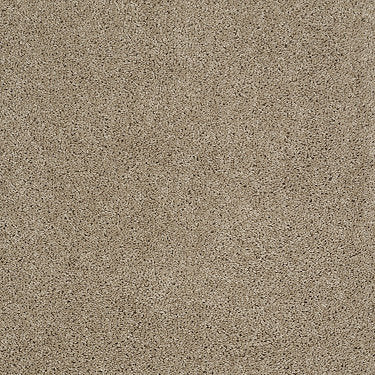 Origins Ii Residential Carpet by Shaw Floors in the color Mushroom. Sample of browns carpet pattern and texture.