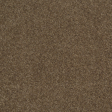 Origins Ii Residential Carpet by Shaw Floors in the color Travertine. Sample of browns carpet pattern and texture.