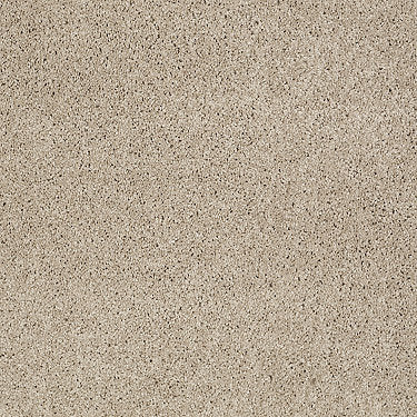 Origins Ii Residential Carpet by Shaw Floors in the color Ice Coffee. Sample of browns carpet pattern and texture.