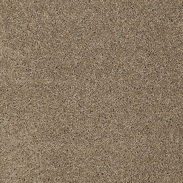 Origins Ii Residential Carpet by Shaw Floors in the color Briar. Sample of browns carpet pattern and texture.