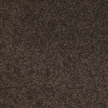 Origins Ii Residential Carpet by Shaw Floors in the color Buckeye. Sample of browns carpet pattern and texture.