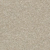 Work The Color Residential Carpet by Shaw Floors in the color Biscotti. Sample of beiges carpet pattern and texture.