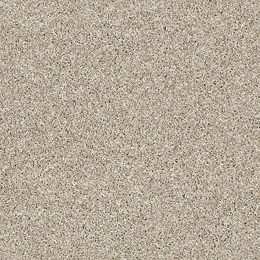 Work The Color Residential Carpet by Shaw Floors in the color Biscotti. Sample of beiges carpet pattern and texture.