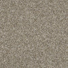Work The Color Residential Carpet by Shaw Floors in the color Sugar Cookie. Sample of beiges carpet pattern and texture.