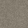Work The Color Residential Carpet by Shaw Floors in the color Park Trail. Sample of beiges carpet pattern and texture.