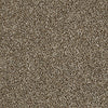 Work The Color Residential Carpet by Shaw Floors in the color Honey Bear. Sample of golds carpet pattern and texture.