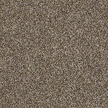 Work The Color Residential Carpet by Shaw Floors in the color Honey Bear. Sample of golds carpet pattern and texture.