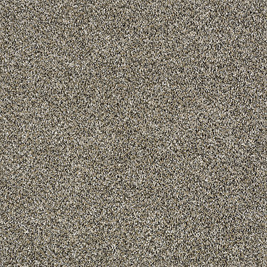 Work The Color Residential Carpet by Shaw Floors in the color Champion. Sample of golds carpet pattern and texture.