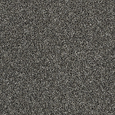Work The Color Residential Carpet by Shaw Floors in the color Meteorite. Sample of grays carpet pattern and texture.
