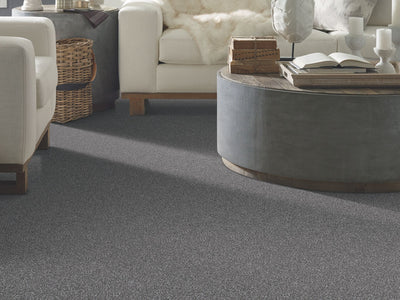 Work The Color Residential Carpet by Shaw Floors in the color Meteorite. Image of grays carpet in a room.