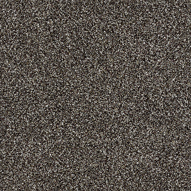 Work The Color Residential Carpet by Shaw Floors in the color Mushroom. Sample of grays carpet pattern and texture.