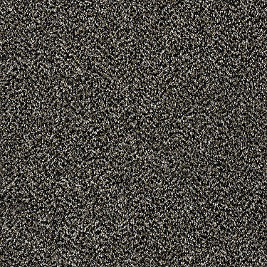Work The Color Residential Carpet by Shaw Floors in the color Black Granite. Sample of grays carpet pattern and texture.