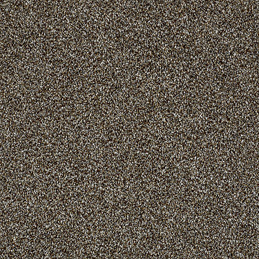 Work The Color Residential Carpet by Shaw Floors in the color Chateau. Sample of browns carpet pattern and texture.