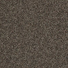 Work The Color Residential Carpet by Shaw Floors in the color Manor House. Sample of browns carpet pattern and texture.