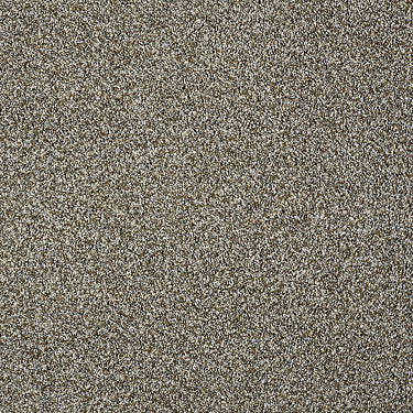 Blending Upwards Residential Carpet by Shaw Floors in the color Fog. Sample of beiges carpet pattern and texture.
