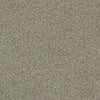 Blending Upwards Residential Carpet by Shaw Floors in the color Mushroom. Sample of beiges carpet pattern and texture.