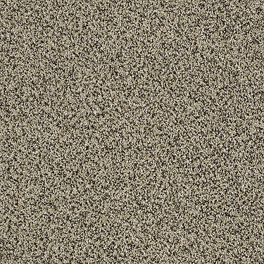 Blending Upwards Residential Carpet by Shaw Floors in the color Lioness. Sample of golds carpet pattern and texture.