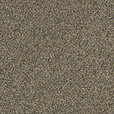 Blending Upwards Residential Carpet by Shaw Floors in the color Vintage Brass. Sample of golds carpet pattern and texture.