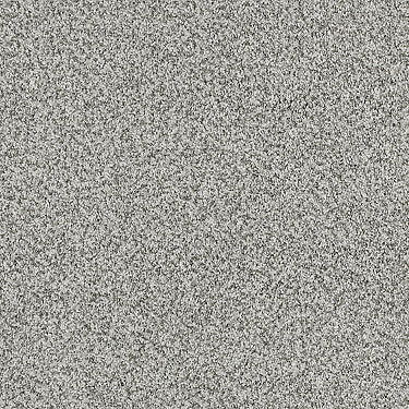 Blending Upwards Residential Carpet by Shaw Floors in the color Smoked Pearl. Sample of grays carpet pattern and texture.