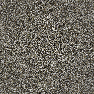 Blending Upwards Residential Carpet by Shaw Floors in the color Griffin. Sample of grays carpet pattern and texture.