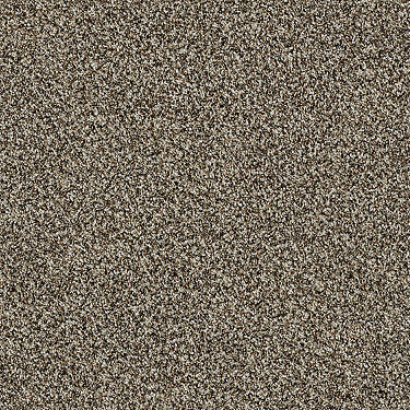 Blending Upwards Residential Carpet by Shaw Floors in the color Quarry. Sample of browns carpet pattern and texture.