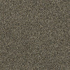 Blending Upwards Residential Carpet by Shaw Floors in the color Tree Swing. Sample of browns carpet pattern and texture.