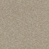 Luminous Residential Carpet by Shaw Floors in the color Blonde. Sample of beiges carpet pattern and texture.