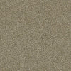 Luminous Residential Carpet by Shaw Floors in the color Giraffe. Sample of beiges carpet pattern and texture.