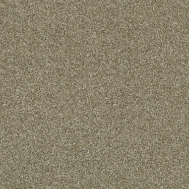 Luminous Residential Carpet by Shaw Floors in the color Giraffe. Sample of beiges carpet pattern and texture.