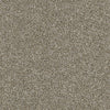 Luminous Residential Carpet by Shaw Floors in the color Granola. Sample of beiges carpet pattern and texture.