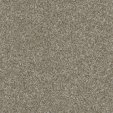 Luminous Residential Carpet by Shaw Floors in the color Granola. Sample of beiges carpet pattern and texture.