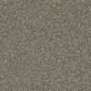 Luminous Residential Carpet by Shaw Floors in the color Tortoise Shell. Sample of beiges carpet pattern and texture.