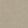 Luminous Residential Carpet by Shaw Floors in the color Gentle Taupe. Sample of beiges carpet pattern and texture.