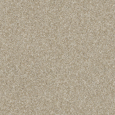 Luminous Residential Carpet by Shaw Floors in the color Gentle Taupe. Sample of beiges carpet pattern and texture.