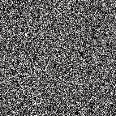 Luminous Residential Carpet by Shaw Floors in the color Fish Hook. Sample of grays carpet pattern and texture.