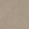 Basic Rules Residential Carpet by Shaw Floors in the color Toast. Sample of beiges carpet pattern and texture.