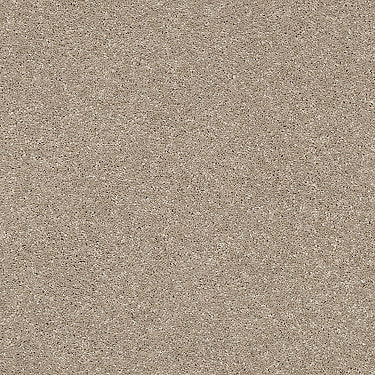 Basic Rules Residential Carpet by Shaw Floors in the color Toast. Sample of beiges carpet pattern and texture.