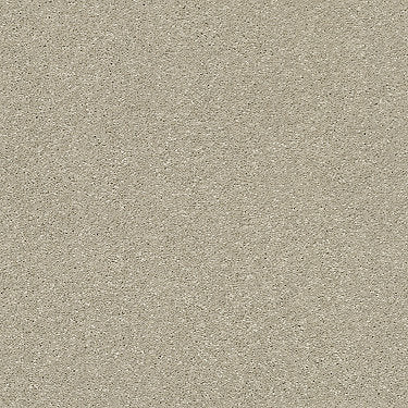 Basic Rules Residential Carpet by Shaw Floors in the color Vicuna. Sample of beiges carpet pattern and texture.