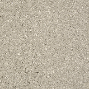 Basic Rules Residential Carpet by Shaw Floors in the color Arctic Fox. Sample of beiges carpet pattern and texture.