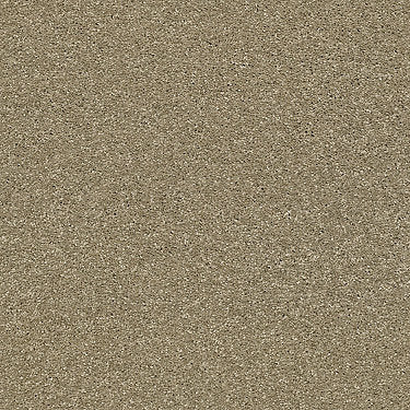 Basic Rules Residential Carpet by Shaw Floors in the color Gold Rush. Sample of golds carpet pattern and texture.