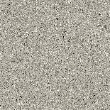 Basic Rules Residential Carpet by Shaw Floors in the color Platinum. Sample of grays carpet pattern and texture.