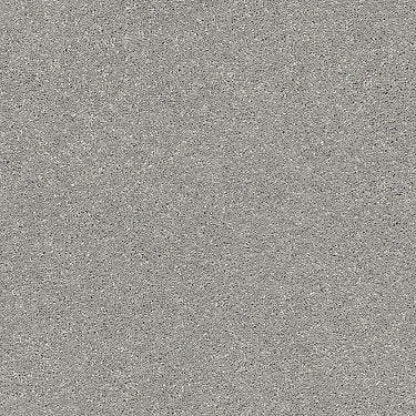 Basic Rules Residential Carpet by Shaw Floors in the color Sterling. Sample of grays carpet pattern and texture.