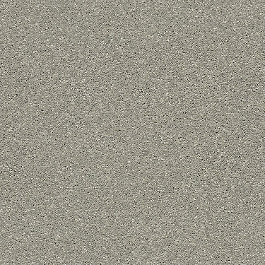 Basic Rules Residential Carpet by Shaw Floors in the color Flax. Sample of grays carpet pattern and texture.