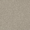 Just A Hint Ii Residential Carpet by Shaw Floors in the color Toast. Sample of beiges carpet pattern and texture.