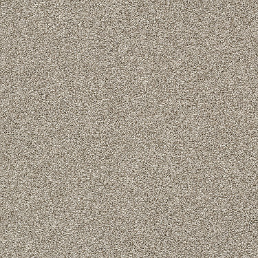 Just A Hint Ii Residential Carpet by Shaw Floors in the color Toast. Sample of beiges carpet pattern and texture.